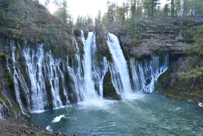 DSC_5933 (Large).JPG